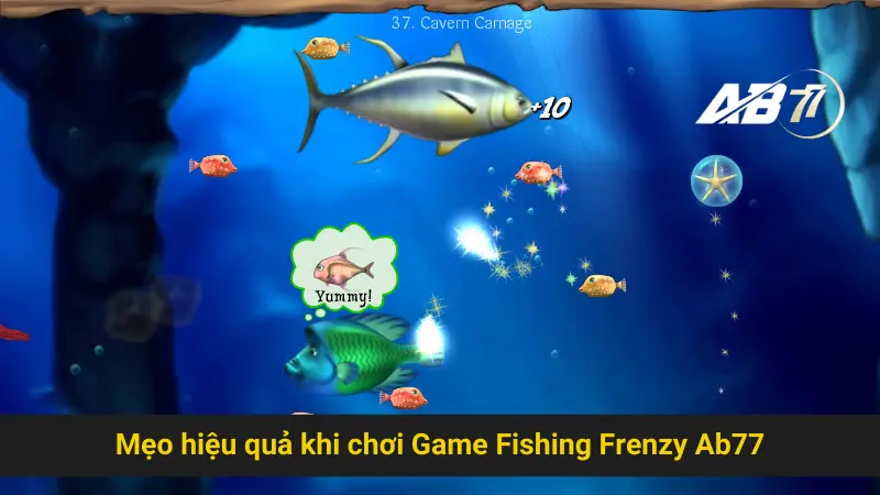 Chia Sẻ Mẹo Chơi Game Fishing Frenzy Ab77 Hiệu Quả 2 Mẹo hiệu quả khi chơi Game Fishing Frenzy Ab77